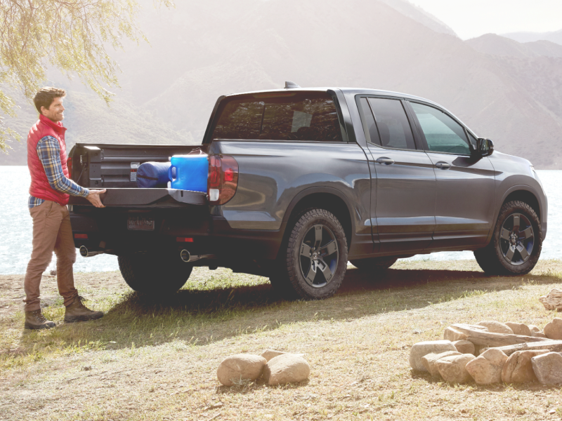 Ridgeline model shown