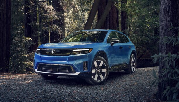 3/4 front view of a blue Prologue parked in a temperate forest. 