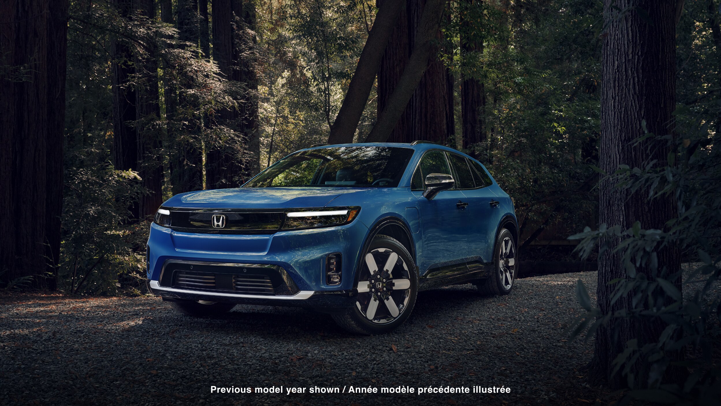 Plan de trois quarts avant d’un Prologue bleu stationné dans une forêt tempérée.
